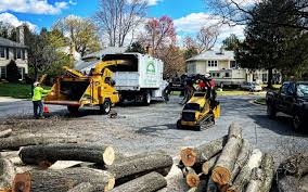 Alpine, UT Tree Care  Company